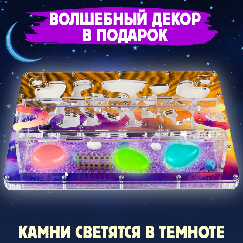 Формикарий Макси "Закат в пустыне" Формикарий Макси "Закат в пустыне"